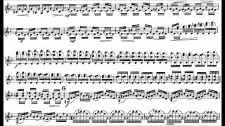 Bach JS mvt12 violin concerto in D minor BWV 1052 [upl. by Ykroc]