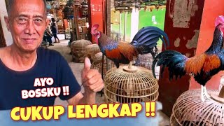 Harga Ayam Bekisar di Pasar Bratang Surabaya  Update September 2022 [upl. by Arty]