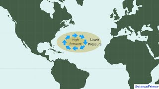 Ocean Gyres and Geostrophic Flow [upl. by Lorenzana]