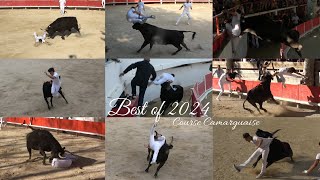 BEST OF COURSE CAMARGUAISE SAISON 2024 [upl. by Meehyr]