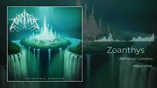 Zoanthys  Aethereal Gardens Instrumental 2024 [upl. by Conni]