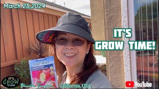 SOWING CARNATION SEEDS AND PLANT UPDATES  LEARNING WHILE PLANTING plantita 2024 [upl. by Lana]