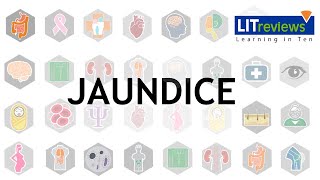 A Clinical Approach to Jaundice [upl. by Yttiy961]