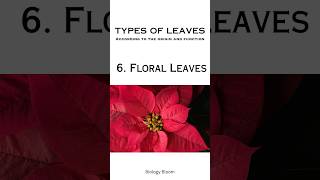 Foliage leaves Cotyledonary leaf Scale Bract Bracteole Floral leaf  Types of Leaves [upl. by Elaina]