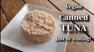 Vegan Tuna Recipe How to make TUNALIKE FLAVOR [upl. by Snoddy]