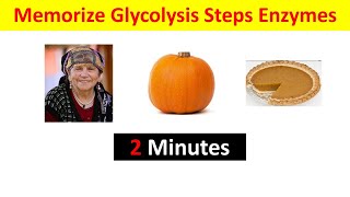 How to Remember Glycolysis Steps and Enzymes in 2 Minutes  Easy Mnemonics amp Tricks [upl. by Ilysa]