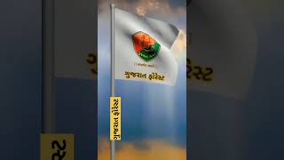 Gujarat forestarek sapana gujarat forestar stats video [upl. by Aylsworth592]