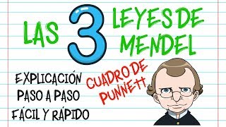 🌿LAS LEYES DE MENDEL CUADRO DE PUNNETT PASO A PASO EXPLICACIÓN Fácil y Rápido  BIOLOGÍA [upl. by Serge912]