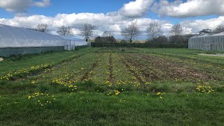 Abbey Home Farm Cirencester Preston Gloucestershire UK April 2023 [upl. by Gerrard223]