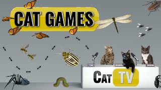 CAT Games  Ultimate Cat TV Bugs and Butterflies Compilation Vol 3 🪲 🐞🦋🦗🐜  Videos For Cats to Watch [upl. by Sherrod]