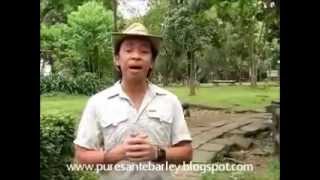 Sante Pure Barley Grass Your Health Solution by Kuya Kim Atienza [upl. by Ahseinek840]