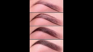 ❅ Les secrets des sourcils parfaits  NovaDickson [upl. by Caputto660]