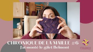 CHRONIQUE DE LA MAILLE 6  jai monté le gilet Belmont [upl. by Ahsitneuq]