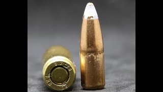 57x28mm 60gr FMJ Subsonic SB193 FN Hertsal [upl. by Colp]