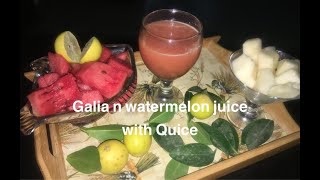 Galia Melon amp Water Melon juice with Quice  Sarda aur Tarbooz ka sharbat  refreshing drink recipe [upl. by Vez]