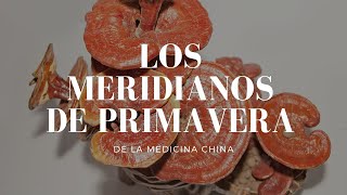 LOS MERIDIANOS DE PRIMAVERA en la medicina China [upl. by Cnahc]