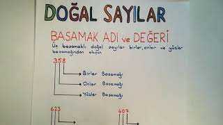 3 Sınıf Matematik Dersi Basamak Adı Sayı Değeri Basamak Değeri ve Çözümleme [upl. by Reivad244]