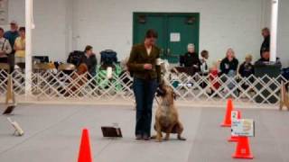 Ta Rally Novice A 1st Leg 99 points [upl. by Dewees]