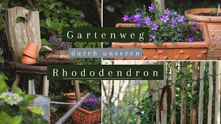 Gartenweg durch unseren riesen Rhododendron  Garten Makeover [upl. by Shamrao]