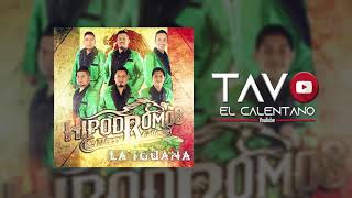 Hipódromos de Tierra Caliente  El Baile de la Iguana Audio Oficial [upl. by Oyek37]