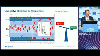 Endothelium the key tissue in sepsis Sascha David 2023 [upl. by Lezlie453]