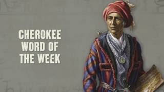 CHEROKEE WORD OF THE WEEK BEAR [upl. by Demmy]