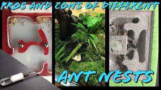 Pros and cons of different ant nests  Test tube Acrylic Ytong Natural [upl. by Dyke]