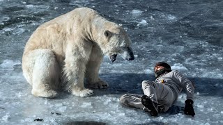 This Polar Bear Severely Mauled A Man As He Attempted A World Record [upl. by Iridis]