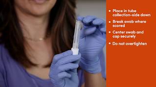 Fulgent COVID19 Nasal Swab Collection Instructions [upl. by Sirref]