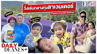 วิ่งเล่นกลางทุ่งลาเวนเดอร์ Furano Lavender Summer  DAILY DEANES EP40 [upl. by Charlie366]