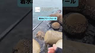 サゴシ2本釣れた実釣動画！メタルジグのアクションも分かるように作っています [upl. by Jewel]