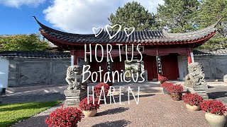 Hortus Botanicus HarenGroningen Chinese tuin [upl. by Daitzman]