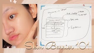 ✅Skin Barrier  ✨Healthy Glowing Skin  apa itu skin barrier fungsi akibat pencegahan dsb [upl. by Wilie]