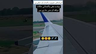 Bird migration to dubai by aeroplane ✈ shortvideo aviation viralvideo dubaiairport pia [upl. by Katina373]