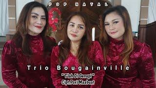 Lagu Natal Terbaru  Trio Bougainville  TLAH DI GENAPI  Official audiovideo  SRI Record [upl. by Holman]