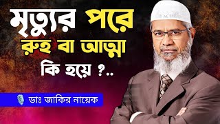 রুহ কি । মৃত্যুর পরে আত্মার কোথায় থাকে। Dr Zakir Naik Bangla Lecture । [upl. by Anayit988]