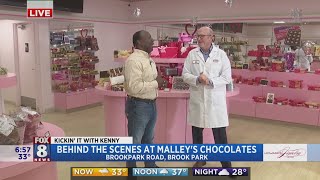 Kenny goes behind the scenes at Malleys Chocolates [upl. by Bullock]