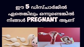 5 different types of early Pregnancy discharge Malayalam Deechus world [upl. by Leorsiy]