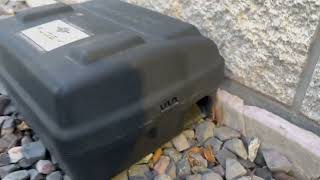 Protecta EVO Express Bait Station MUST HAVE for Rodents Pets REVIEW [upl. by Hernardo]