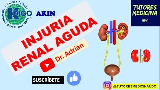 INJURIA RENAL AGUDA [upl. by Isus298]