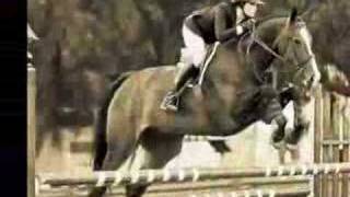 Katharines Journey to the Maclay National Championship [upl. by Inahteb]