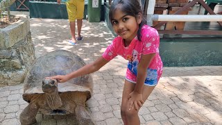 Moyenne island  Teddys Glass Bottom Boat  Island hopping  Seychelles  தமிழ்  Mahathi Vlogs 22 [upl. by Martinelli]