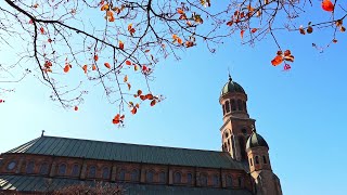 가을 amp 한옥마을 풍경 autumn cathedral 가을 한옥 성당 cathedral autumn peace relaxation Korea [upl. by Eilyak157]