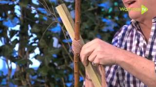 Alan explains how to plant and stake a tree [upl. by Terrel]