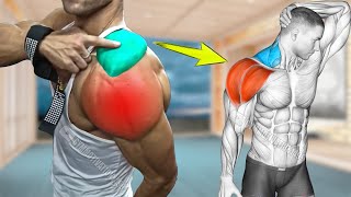 6 Best Traps and Shoulders Combine Exercises [upl. by Ayom]