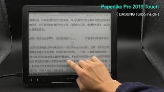 DASUNG 133quot Eink Monitor Paperlike Pro amp Paperlike Pro Touch [upl. by Hudson]