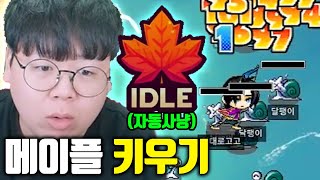 결국 출시된 메이플스토리 키우기 자동사냥방치모드까지 ㅁㅊㅋㅋ 테스터훈 [upl. by Dranyer122]