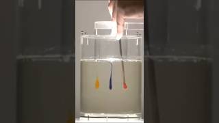 Laminar effect sciencefacts science knowledge facts [upl. by Cigam]