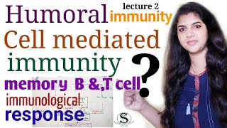 Immune response  Humoral and cell mediated immunity  innate and adaptive immunity  memory cell [upl. by Adian]