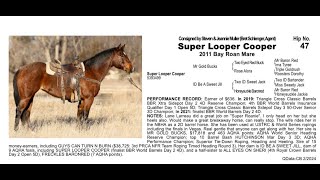 Pitzer Ranch Spring Sale 2024 Lot 47 SUPER LOOPER COOPER [upl. by Cele]